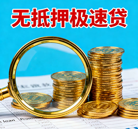 金华应急短期借款，额度高